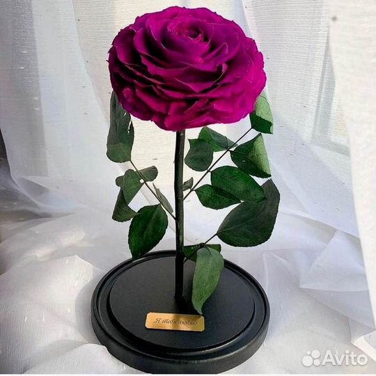 Роза в колбе. Любые размеры
