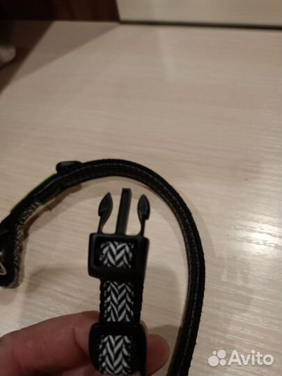 Ошейник новый