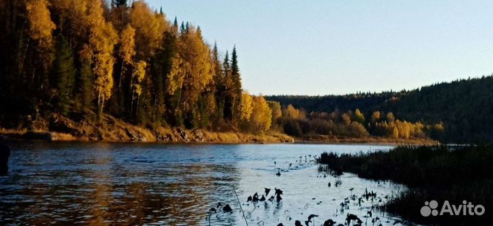 Рыбалка на хариуса