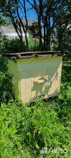 Улей для пчел