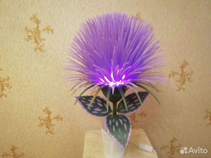 Интерьерные цветы