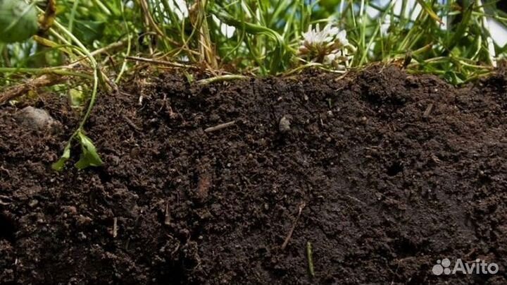 Грунт растительный