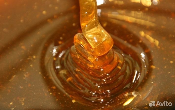 Мёд натуральный из Алтая оптом от 16 кг