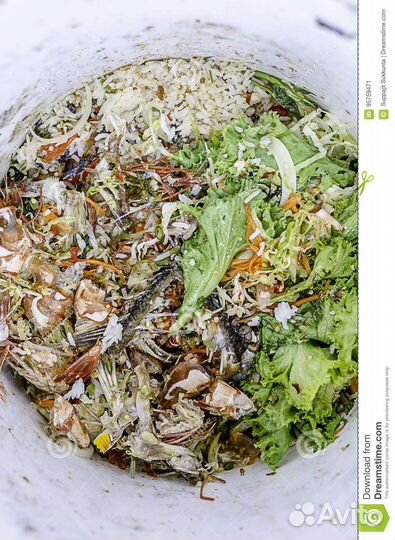 Пищевые отходы