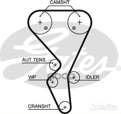 Ремень грм 5581XS Gates