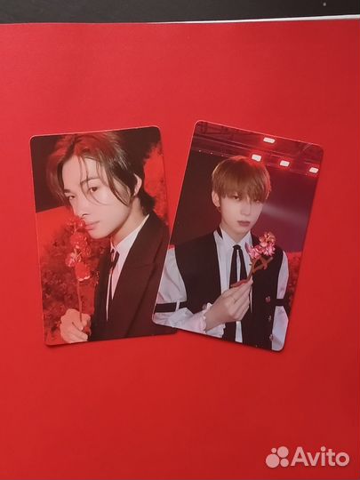 Enhypen dark blood альбом