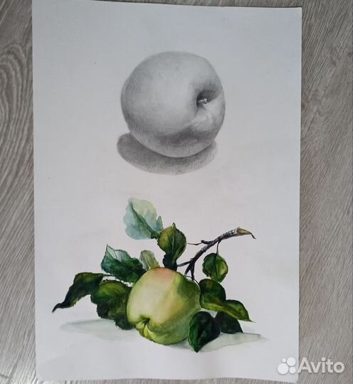 Работы по рисунку и живописи