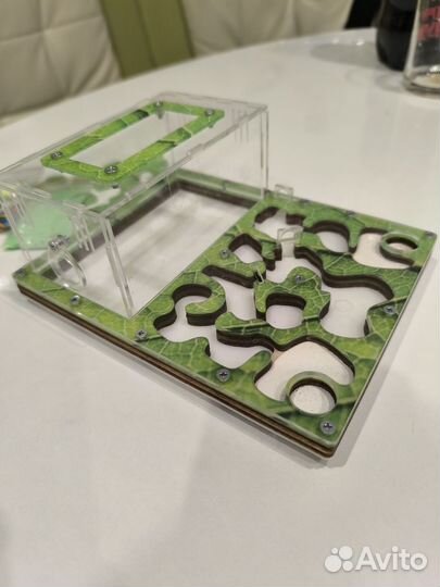 Формикарий для муравьев