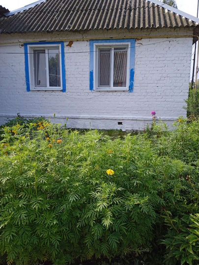 Дом 87,5 м² на участке 50 сот.