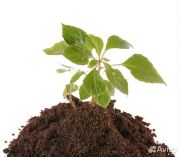 Отличный торф. Доставка по Рязани и области