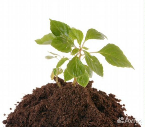 Отличный торф. Доставка по Рязани и области