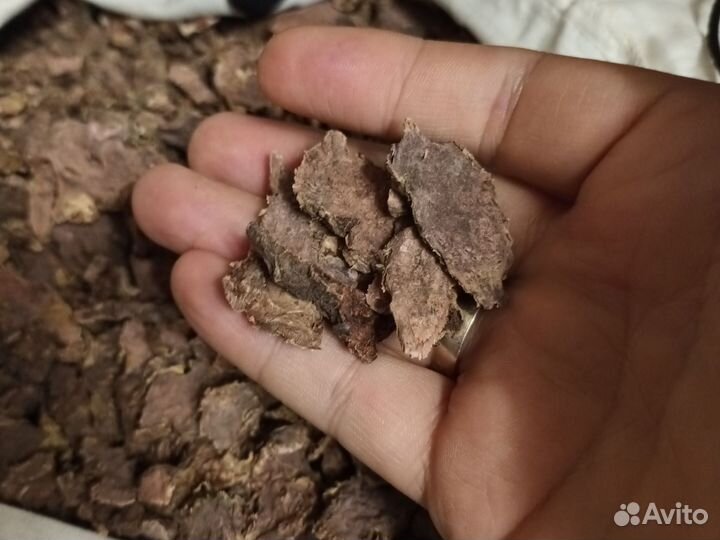 Золотой корень