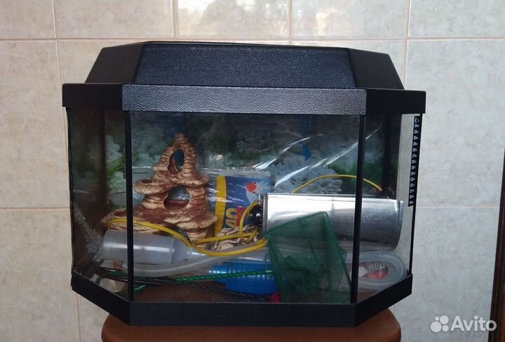 Аквариум с наполнением 40 л