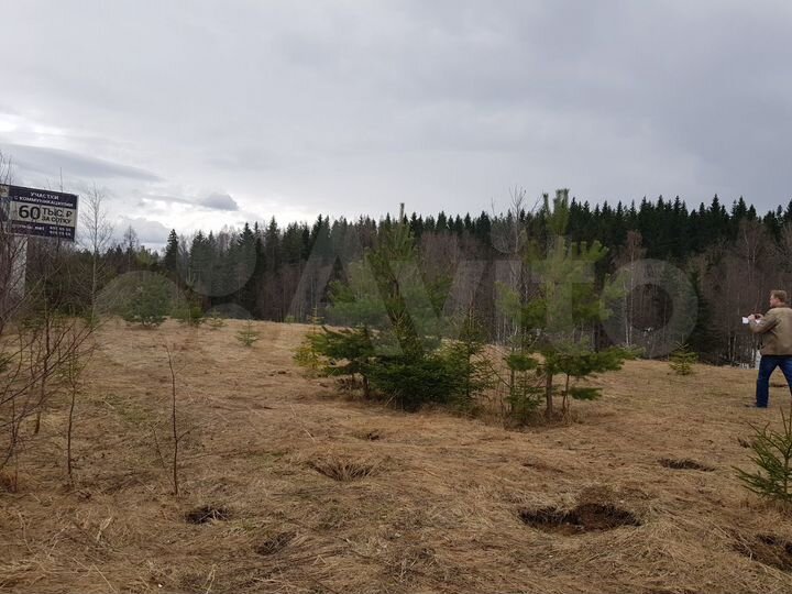 Участок 100 сот. (СНТ, ДНП)