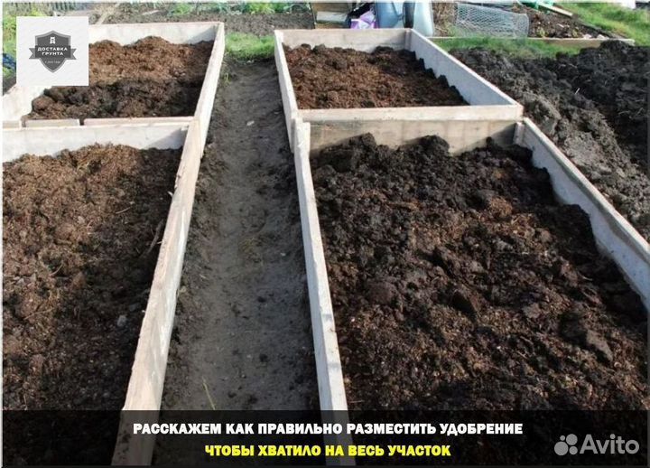 Купить коровий навоз