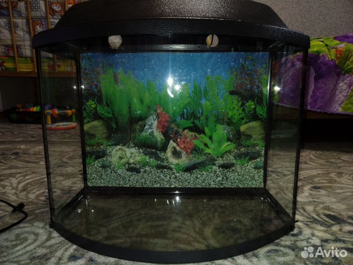 Аквариум