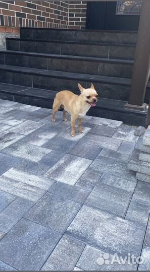 Плитка тротуарная от 120 м2