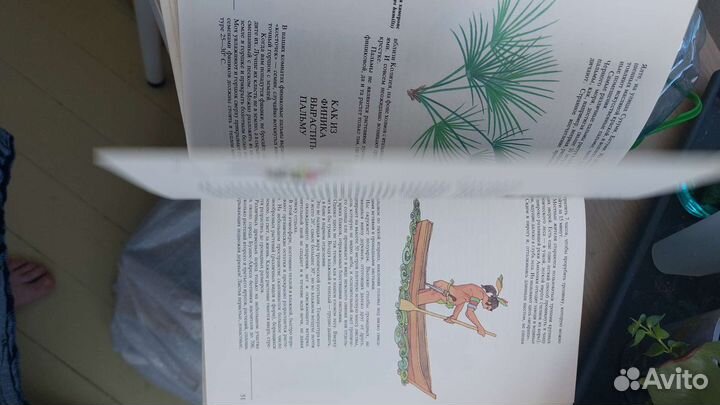 Верзилин Н. Путешествие с домашними растениями