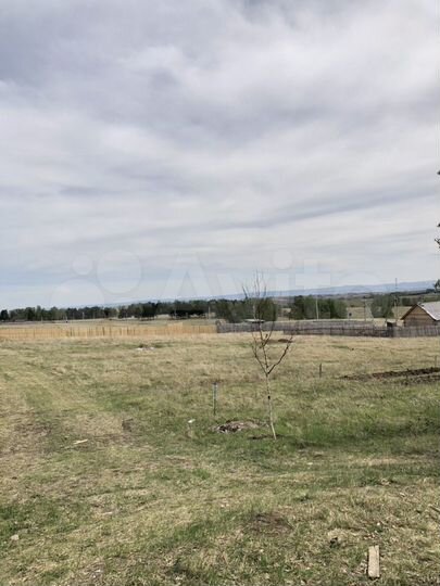 Участок 12 сот. (СНТ, ДНП)