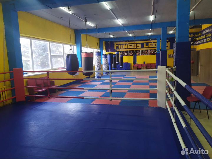 Секция бокса