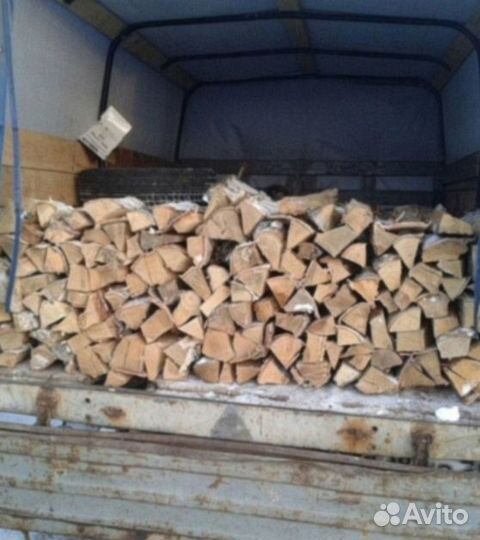 Дрова береза