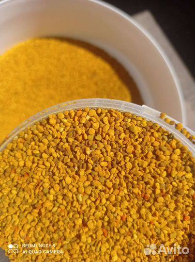 Пыльца пчелиная