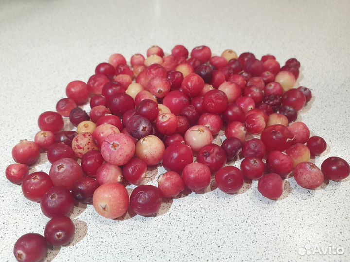 Клюква свежая