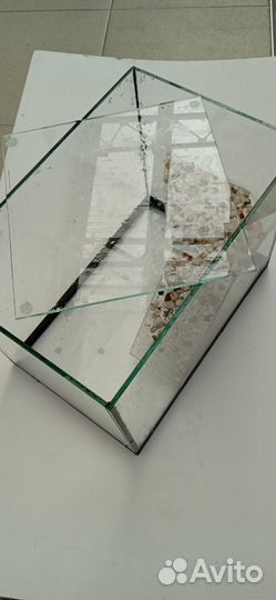 Черепошатник 12 литров