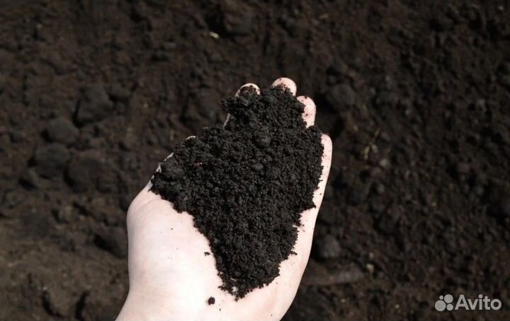 Плодородная земля