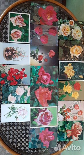 Открытки СССР Цветы (Розы) 1974 - 1982 годы