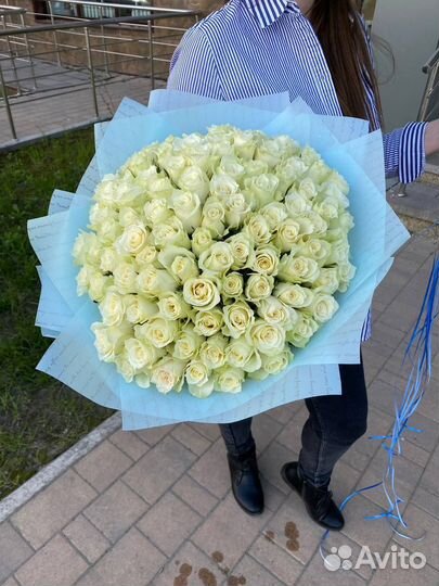 Цветы Роза Кения 101шт с бесплатной доставкой