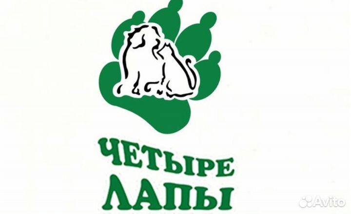Продавец консультант зоомагазин, ветеринар