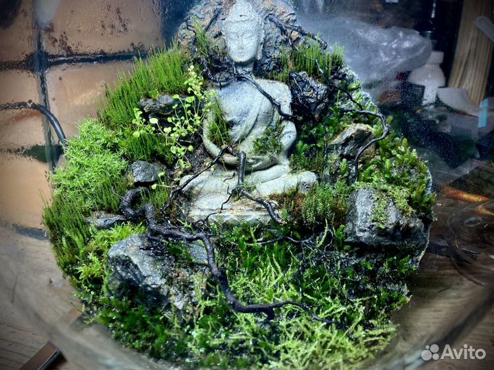 Изготовление флорариума, террариума на заказ