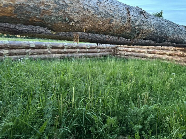 Дом 48 м² на участке 10 сот.