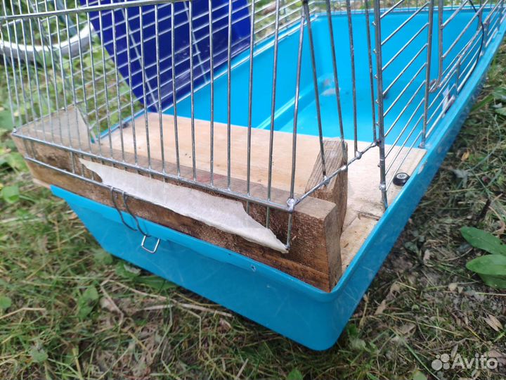 Большая клетка