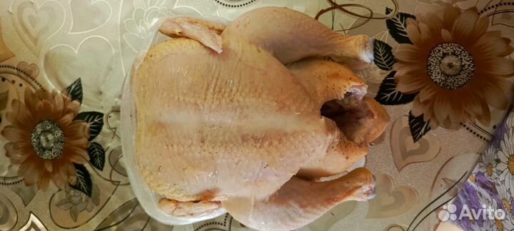 Мясо домашнего бройлера