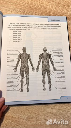Дневник тренировок ежедневник