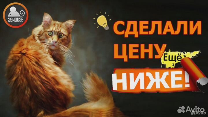 Ноутбуки Lenovo для всех, на Intel Core или AMD