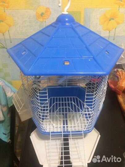 Клетка большая,читаем описание