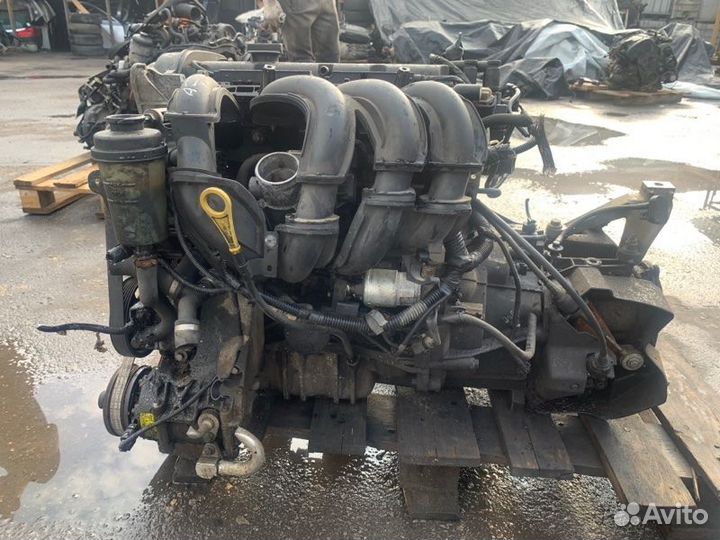 Двигатель Ford Focus 2 shda 2009