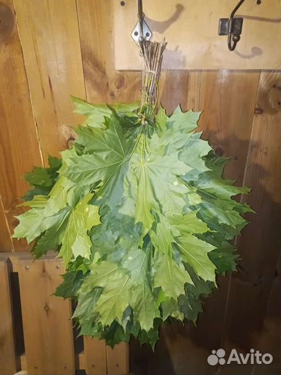 Кленовый веник