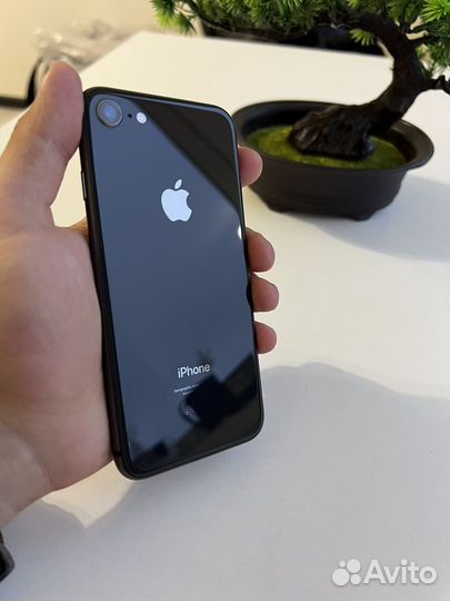 iPhone 8