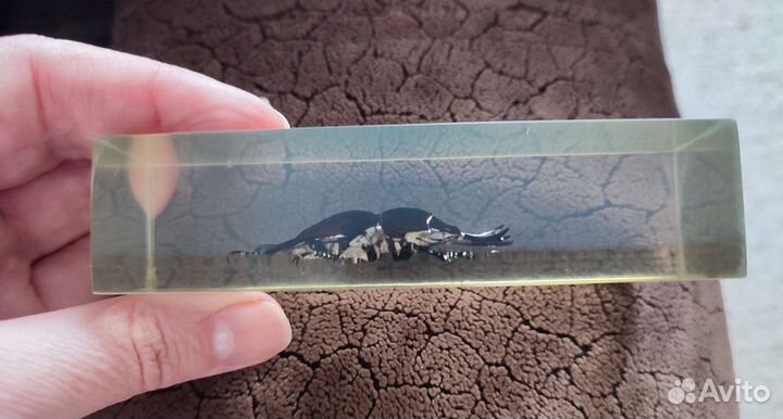 Коллекция: Журнал 