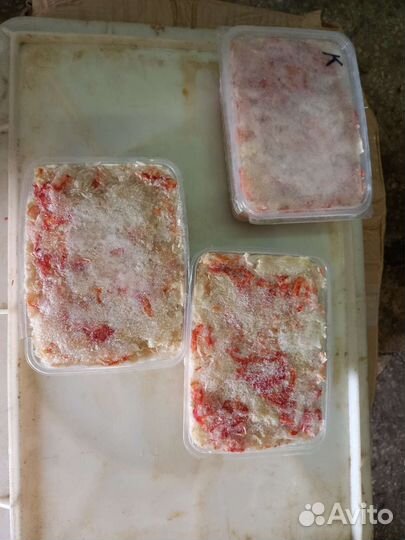 Продам камчатского краба и морепродукты с Камчатки