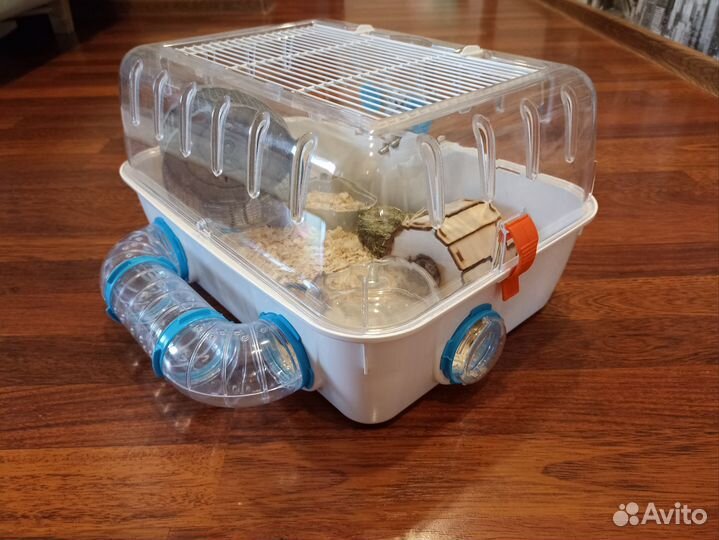 Джунгарский хомяк с клеткой