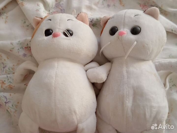 Кошечка лили