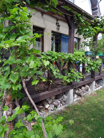 Дом 58 м² на участке 7 сот.