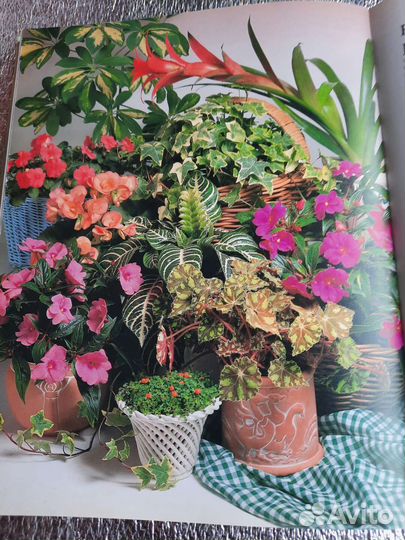 Энциклопедия. Подарочное изд. Комнатные растения