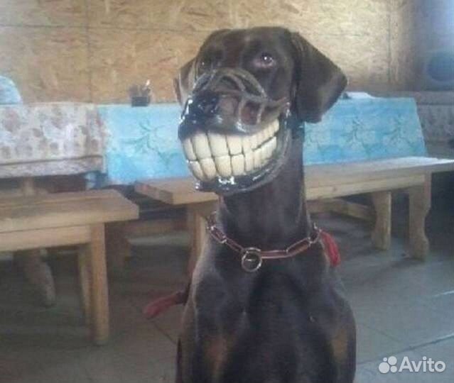 Прикольный намордник Улыбка