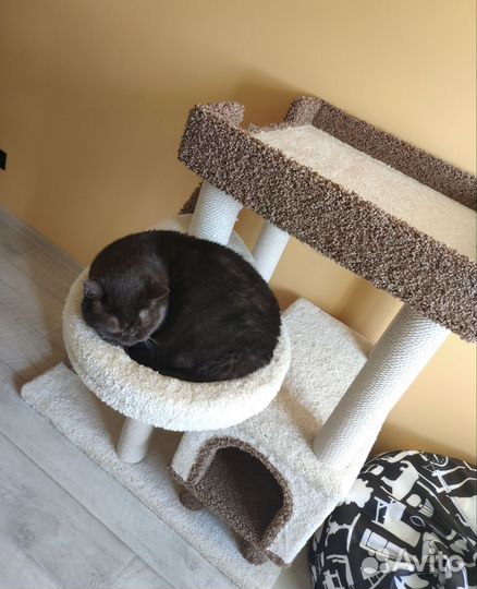 Когтеточка с домиком